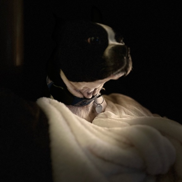 Meet your Posher, Susan - Picture 3 of 9